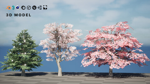 Magnolia Trees 3D Model Pack