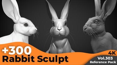 +300 Rabbit Sculpt Reference Images(4k)