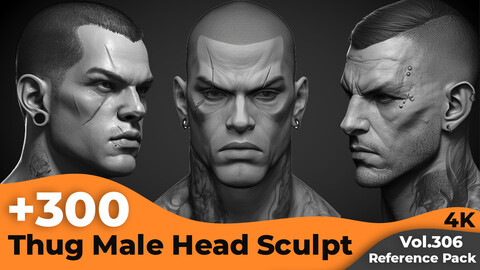 +300 Thug Male Head Sculpt Reference Images(4k)