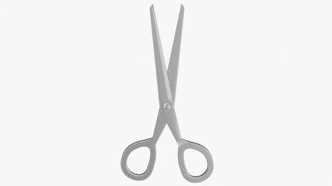 Chrome Scissors