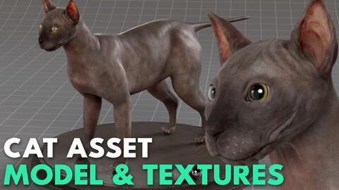 Cat Asset - Model & Textures