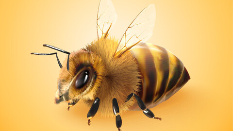 Close-Up Illustration Vibrant Honeybee, Bright Orange Background, Yellow Bee Insect, Natural World