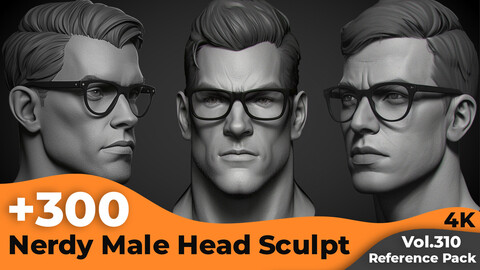 +300 Nerdy Male Head Sculpt Reference Images(4k)