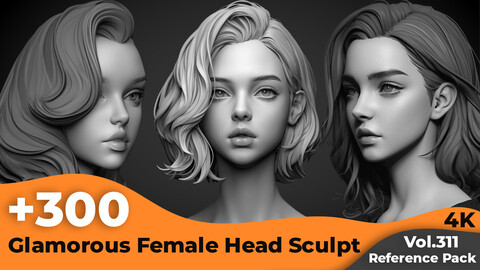 +300 Glamorous Female Head Sculpt Reference Images(4k)