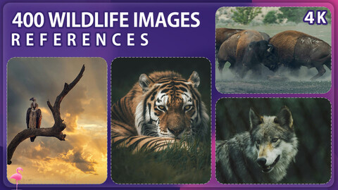 400 Wildlife Image Reference Pack – Vol 1