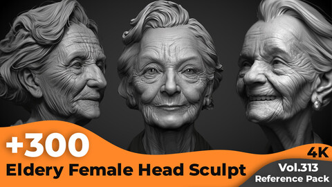 +300 Eldery Female Head Sculpt Reference Images(4k)