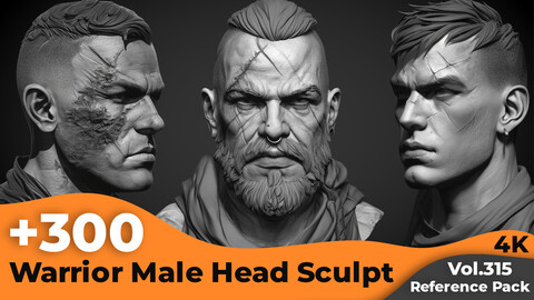 +300 Warrior Male Head Sculpt Reference Images(4k)