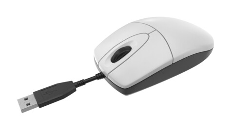 Computer Mouse