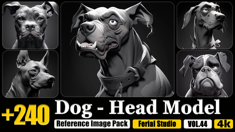 240 Dog - Head Model Reference Image Pack v.44 |4K|