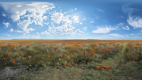 Unclipped HDRi Prairie with Wildflowers