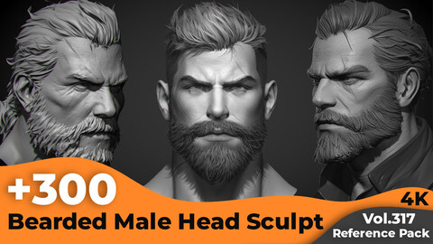 +300 Bearded Male Head Sculpt Reference Images(4k)