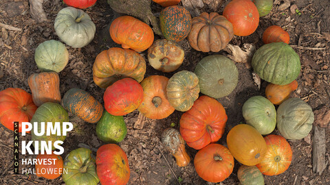 Halloween Pumpkins (40 pieces)