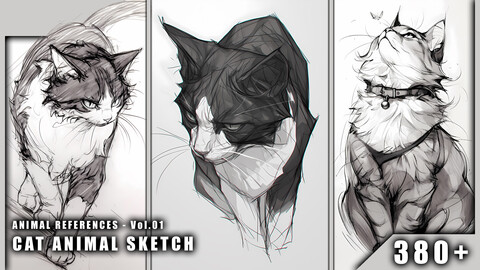 380+ Cat Animal Sketch - Animal References Vol.01