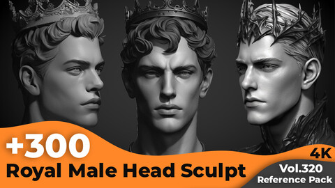 +300 Royal Male Head Sculpt Reference Images(4k)