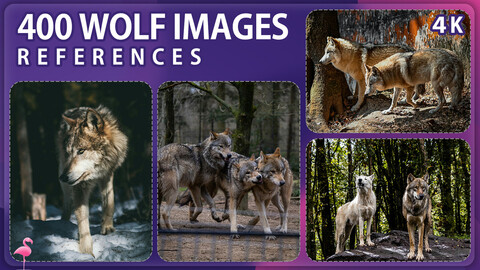 400 Wolf Image Reference Pack – Vol 1