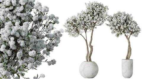 AV Tropez Planter Cherry Blossom Decorative Tree