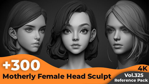 +300 Motherly Female Head Sculpt Reference Images(4k)