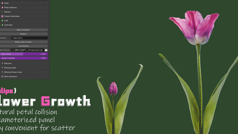 blender animation addon：Flower Growth（Tulipa）Panel