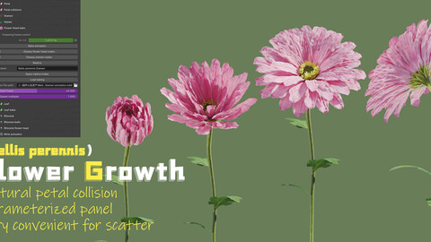 blender animation addon：Flower Growth（Bellis perennis）Panel