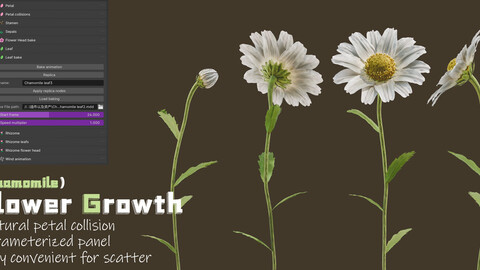 blender animation addon：Flower Growth（Chamomile）Panel