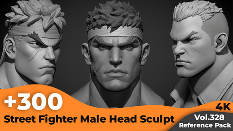 +300 Street Fighter Male Head Sculpt Reference Images(4k)