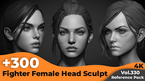 +300 Fighter Female Head Sculpt Reference Images(4k)