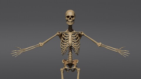 Skeleton Warrior Maya Rig