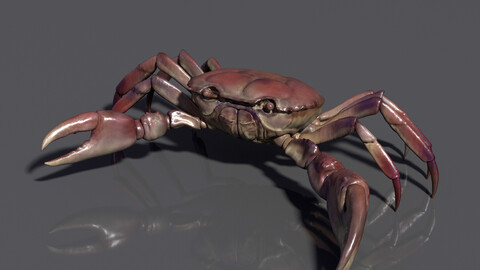 Freshwater Crab Maya Rig