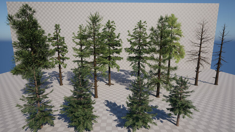 PineTrees