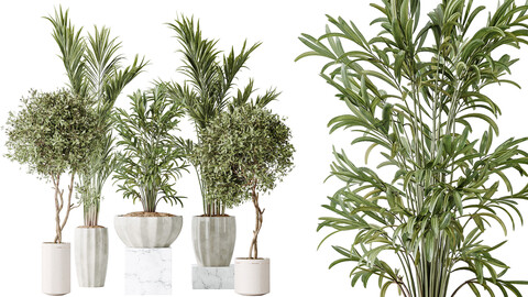 AV Indoor plants set 167 Artificial Olivo Olea Tree and Areca Majesty Cat Reed Palm and Lutescens Areca Palm