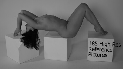 Reference Pack - PR0137 - Nude studies in black and white