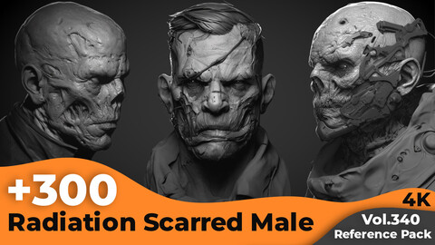 +300 Radiation Scarred Male Head Sculpt Reference Images(4k)