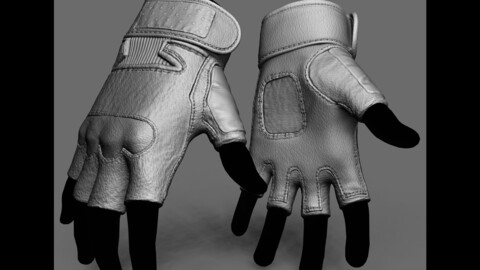 Hand Gloves / Hard Knuckle Gloves / Leather Gloves / Tactical Gloves