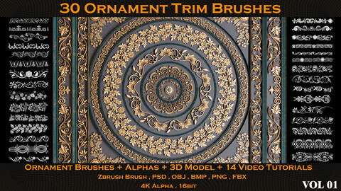 30 Ornament Trim Brushes + Alphas + 3D Model + 14 Video Tutorials (VOL 01)