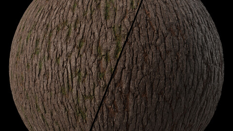 Wood Materials 39- Bark | Seamless PBR 4k