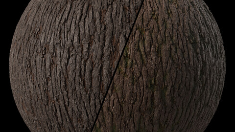 Wood Materials 40- Bark | Seamless PBR 4k