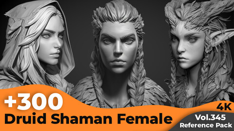 +300 Druid Shaman Female Head Sculpt Reference Images(4k)