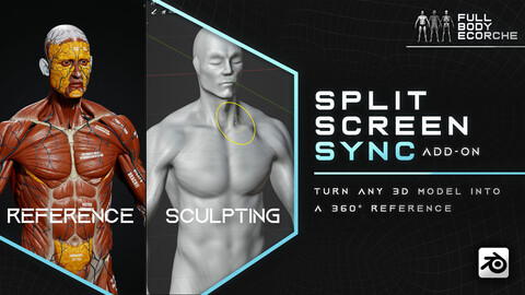 Split Screen Sync Blender Add-on + Ecorche + BaseMesh - 18%OFF -