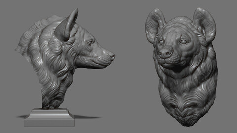 Hyena head