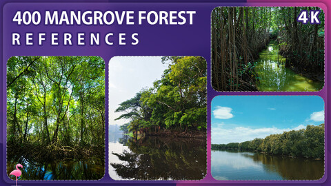 400 Mangrove Forest Image Reference Pack – Vol 1