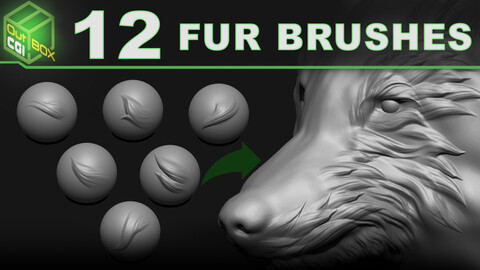 12 Fur Brushes for ZBrush, Blender, and Substance Painter - 70% RELEASE DISCOUNT