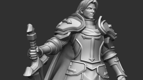 Paladin - DND Miniature - Pre-Supported 3D print model