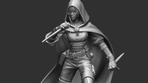 Rouge - DND Miniature - Pre-Supported 3D print model