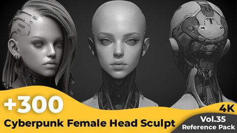 +300 Cyberpunk Female Head Sculpt Reference Images(4k)