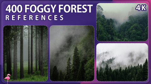 400 Foggy Forest Image Reference Pack – Vol 1