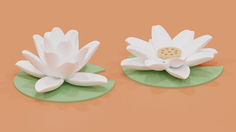 Cartoon White Lotus Water Lily 3D model