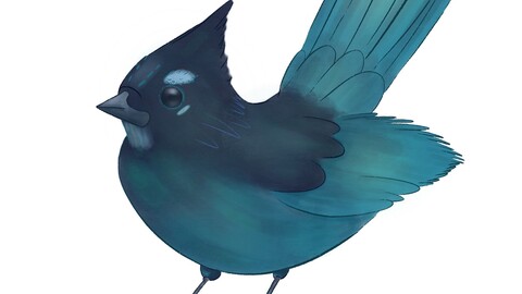 Blue bird