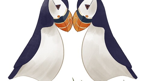 Puffin birds couple