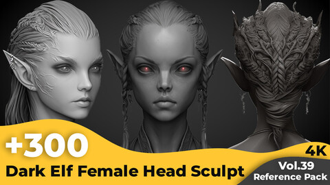 +300 Dark Elf Female Head Sculpt Reference Images(4k)