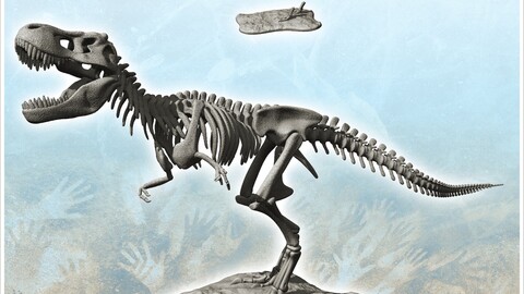 T-Rex dinosaur skeleton with open mouth (1) | STL for 3D Printing Printer | Hard Surface